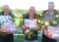Trio Roel Sijbesma wint heren B-klasse d.e.l. in Pingjum